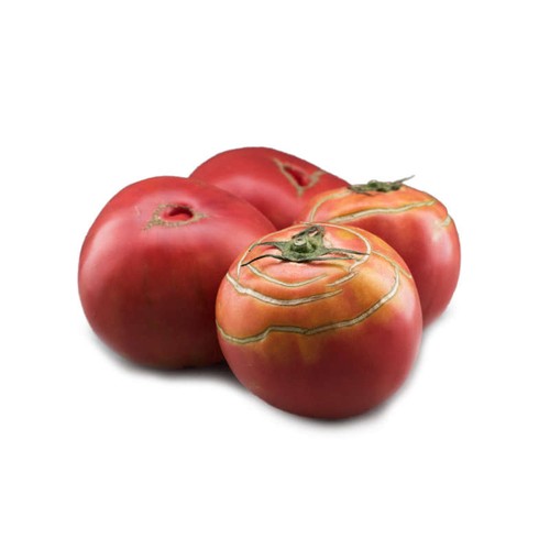 Natoora Tomate Mont du Vésuve Pleine Terre 500gr