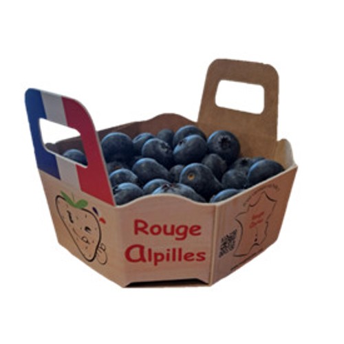 Myrtille Barquette 250g