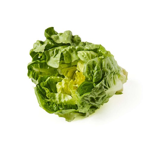 Natoora Salade Sucrine Verte x1