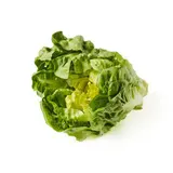 Natoora Salade Sucrine Verte x1