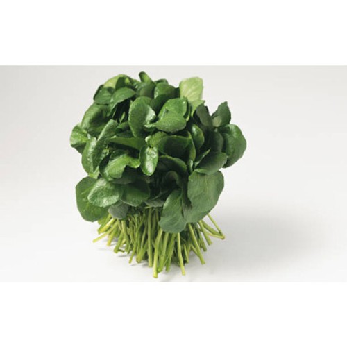 Cresson en Barquette 150g