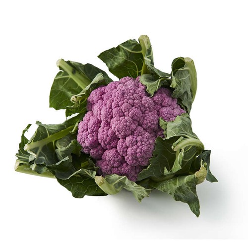 Natoora Chou-Fleur Violet  x1