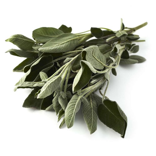 Natoora Sauge Botte - 40g
