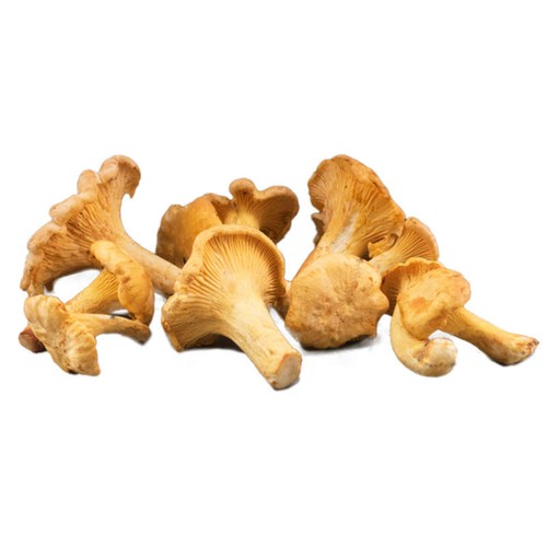 Natoora Champignons Girolles 100g