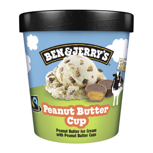 Ben & Jerry's Glace en Pot Peanut Butter Cup 425g
