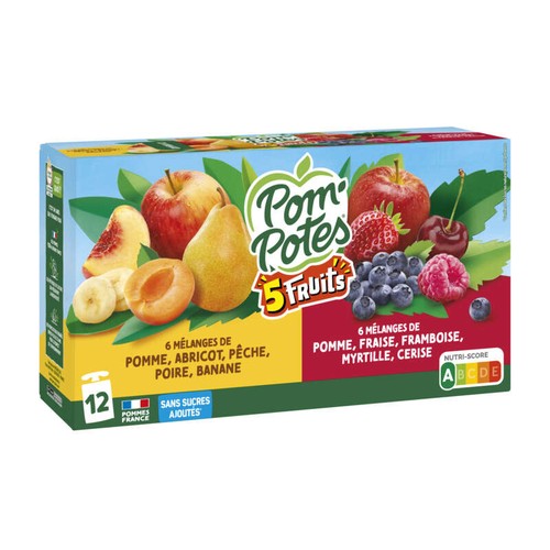 Pom'Potes Sans sucre ajouté 5 fruits 12x90g