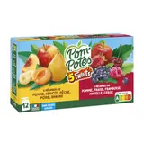 Pom'Potes Sans sucre ajouté 5 fruits 12x90g