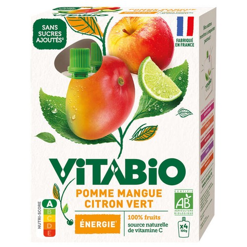 Vitabio Gourde Fruits Pomme Mangue Citron vert Bio 4x100g