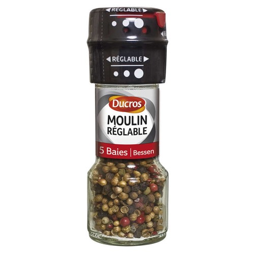 Ducros Moulin Réglable 5 Baies 24g