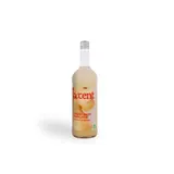 Accent Ginger Beer Française Bio 75cl