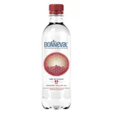 Bonneval Eau Minérale Gazeuse 50cl