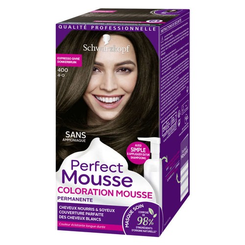 Perfect Mousse Coloration Permanente Cheveux Expresso Givré 400