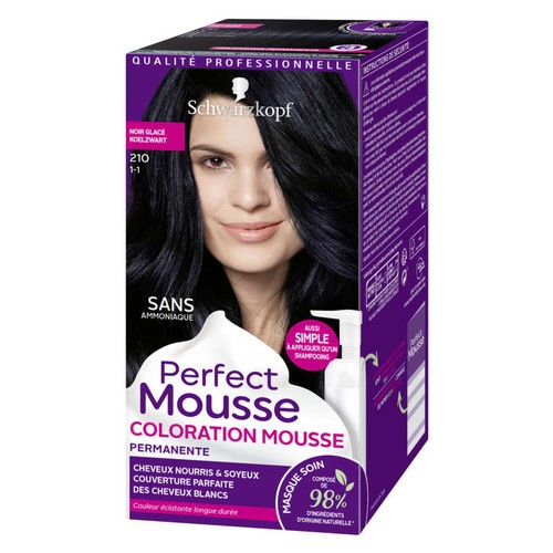 Perfect Mousse Coloration Permanente 210 Noir Glacé 35ml