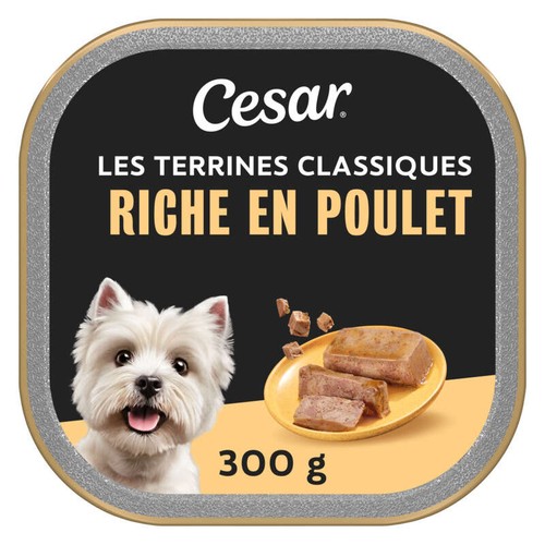 Cesar Barquette poulet en terrine pour chien 300g