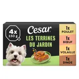 Cesar Barquettes en terrine pour chien au cœur de légumes 4x150g
