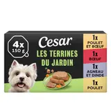 Cesar Terrines Traiteur 4 Variétés, Pour Chien 4x150g