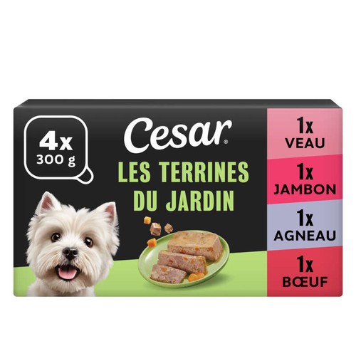 Cesar Barquettes en terrine 4 variétés pour chien 4x300g