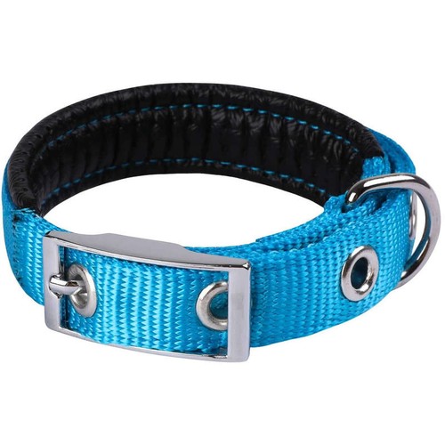 Animalis Collier Basic Confort pour Chien 25mm - 65cm, Bleu