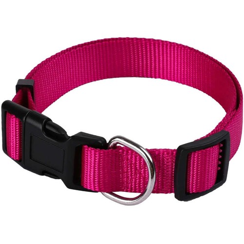 Animalis Collier Basic pour Chien 20mm 39/60cm Fuschia