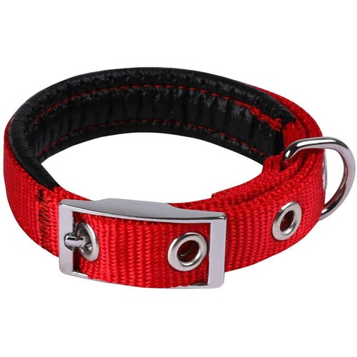 Animalis Collier Basic Confort pour Chien 25mm - 65cm, Rouge