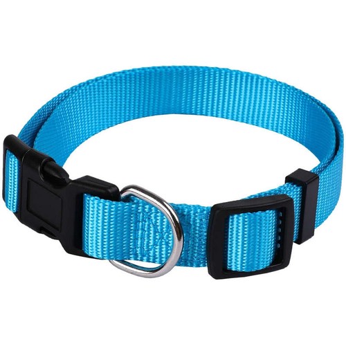 Animalis Collier Basic pour Chien 12mm 20/30cm Bleu