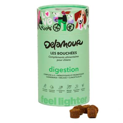 Delamour 90 Bouchées Digestion Compléments alimentaires pour chien, 270g