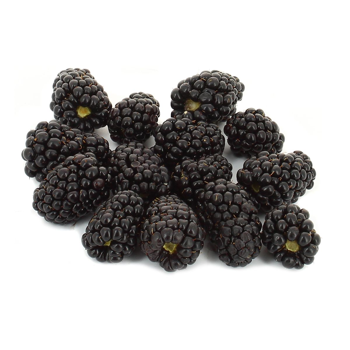 Fruits Rouges & Co Mûre, Barquette de 125g