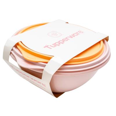 Tupperware Bols avec couvercles, 2 pièces
