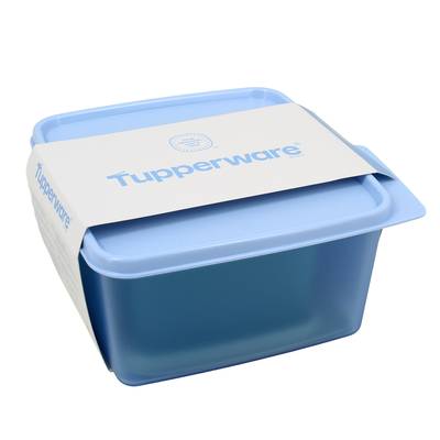 Tupperware Boîte de conservation, 2 pièces