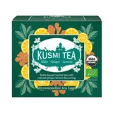 Kusmi Tea Thé Maté Gingembre Citron Bio, 20 sachets