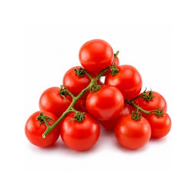 Tomate Cocktail Grappe