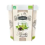Aquibio Crème glacée Menthe Chocolat artisanale bio, 300g