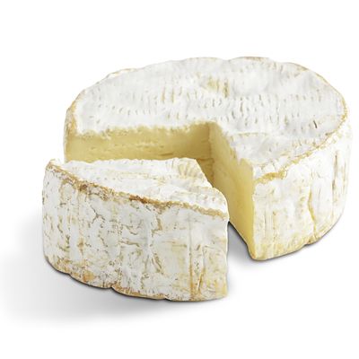 Androuet, Maître Fromager Camembert de Normandie AOP - Lait de vache cru, 250g