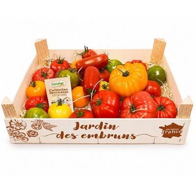 Saveol Tomates d'Antan, Colis de 3,5kg