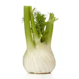 Fenouil, 1 Pièce