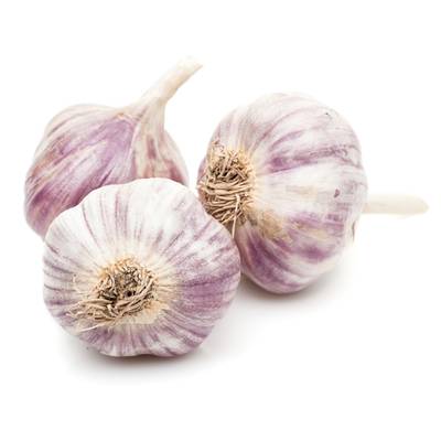 Ail Violet, Filet de 3 Têtes