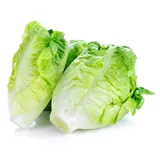 Salade Sucrine, Sachet de 3  Pièces