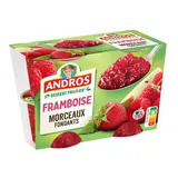 Andros Dessert fruitier avec morceaux framboise, 4x100g