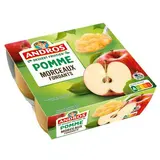 Andros Dessert fruitier avec morceaux pomme, 4x100g