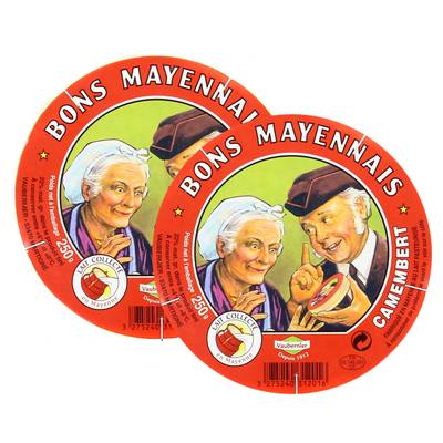 Vaubernier Camembert bon Mayennais, Lot de 2x250g