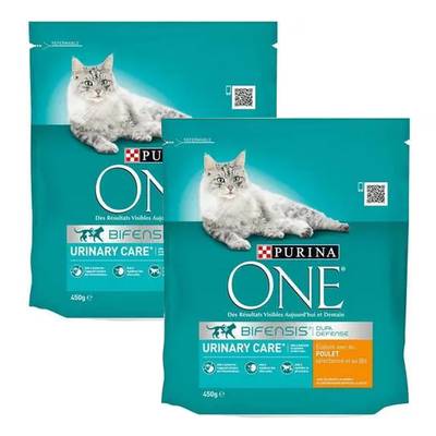 Purina - One Croquettes Poulet Spécial Système Urinaire pour chat adulte, Lot de 2x450g