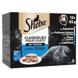 Sheba - Classiques Barquettes en Terrine Océan MSC pour chat, 12x85g