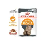 Royal Canin Sachets en Sauce Intense Beauty Special Pelage pour Chat Adulte, 12x85g