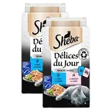 Sheba - Délices du Jour Sachets en Gelée Poissons Thon et Saumon MSC pour chat, Lot de 2 -6x50g