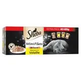 Sheba - Mini Filets Sachets en sauce Poulet, Canard, Volaille, Canard et Dinde pour Chat Adulte, 40x85g