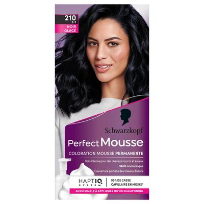 Perfect Mousse Coloration Permanente 210 Noir Glacé, 1 pièce