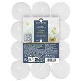 Ambiances Devineau Bougies chauffe-plats Jasmin d'Égypte, 24 bougies