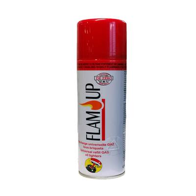 Flam Up Recharge Gaz Universelle, 1 Recharge gaz