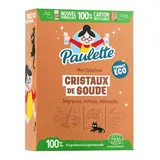 Paulette Cristaux de soude Dégraissant Détachant Ecocert, 1kg