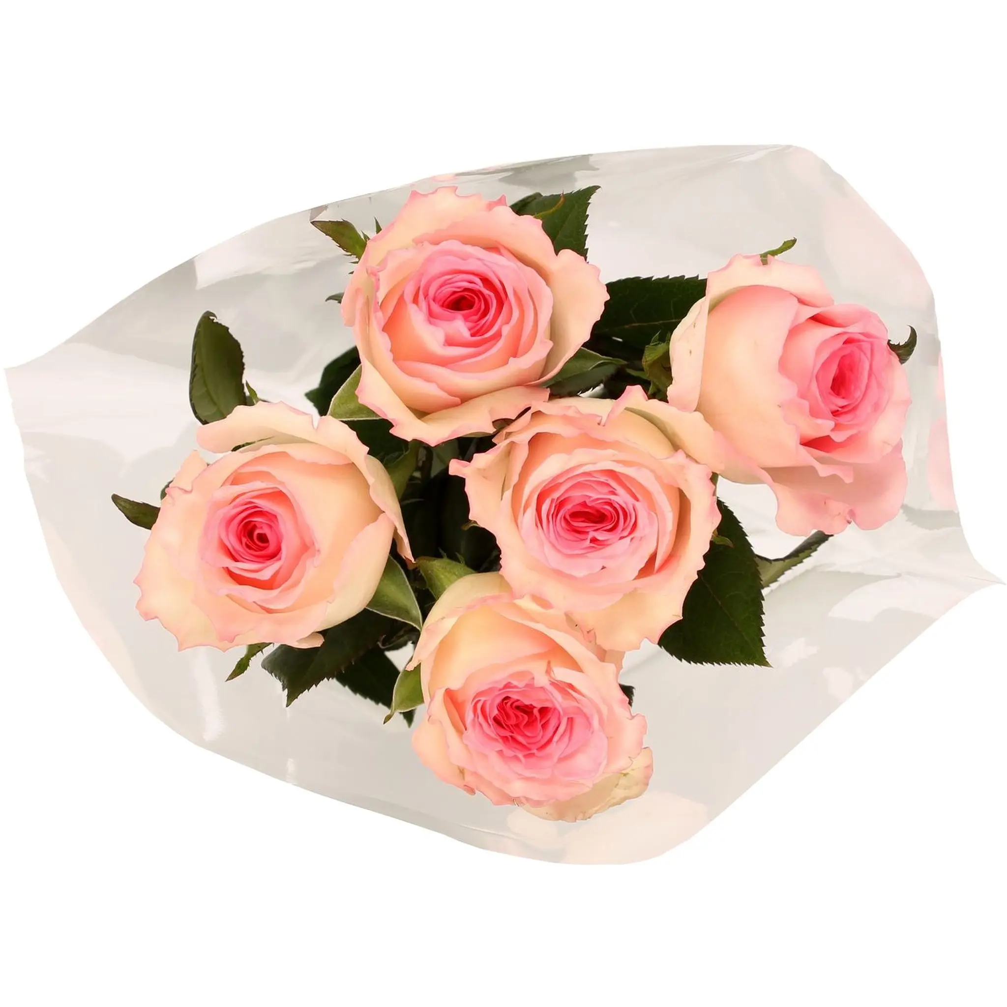 FLEURS Bouquet de 5 roses Mandala